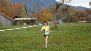 dsc00334-large
