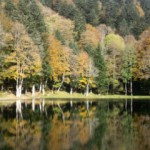 belfort-etang-des-belles-filles