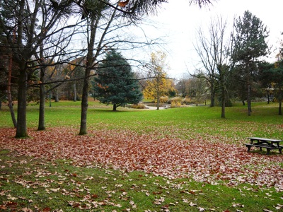 La rénovation du parc d’Ambilly a débuté