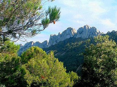 Notre fringant helvète aura la pression…à Gigondas