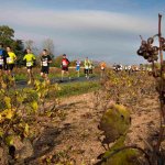 marathon beaujolais 2014_1