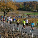 marathon beaujolais 2014_2