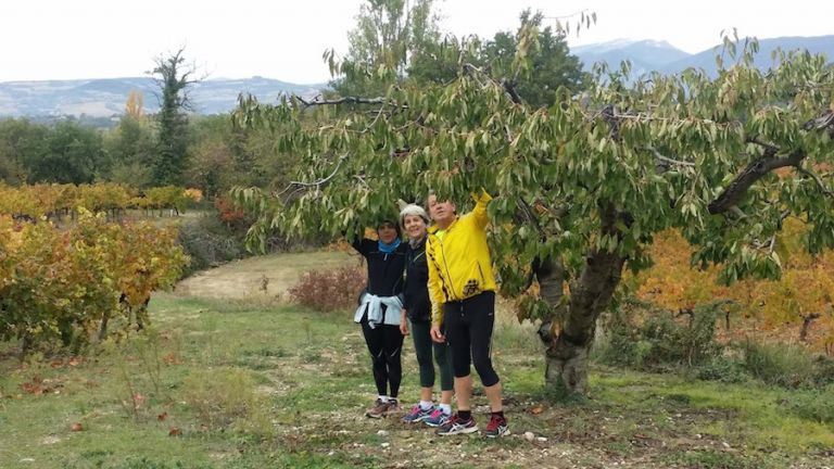 Gruppetto Amicoursien en Provence