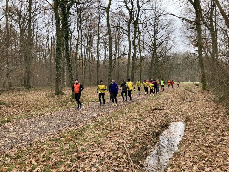 Entrainement dans les bois de Jussy